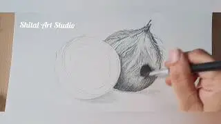 Coconut fruit drawing tutorial 
