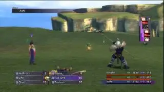 FFX - Getting AP like a BAWWWWWS