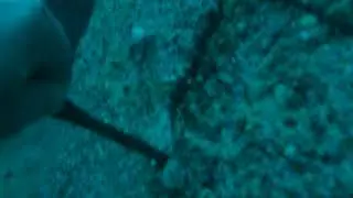 P1010594