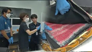 Joint customs drug bust operation