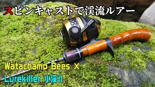 【スピンキャスト】ワタチャンプ Beesで渓流ルアー釣行