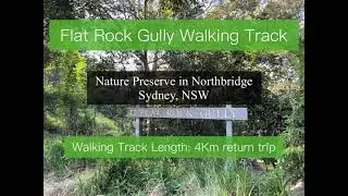 Best Bush Walk Track | Flat Rock Gully | SYDNEY