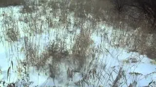 SDC10168
