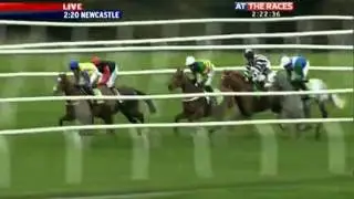 Fighting Fifth Hurdle 2011