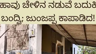 ಹಳೇ ಮನೆ-ಪಾಳು ಮನೆ ನೆನಪಿನ ಪರಿಮಳ/My Old Home Tour/ಹಾವು-ಚೇಳಿನ ನಡುವೆ ಬದುಕಿ ಬಂದ್ವಿ!#nativenest