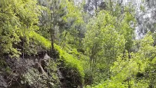 Beautiful dir upper . exploring the hidden beauty of dir #dir #travel #pirharoon #dirupper