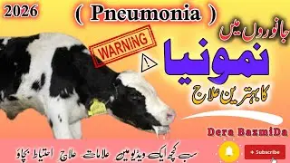 ⚠️ Janwaron Mein Pneumonia | Saans Ki Khatarnak Bimari | Full Guide. #cow #buffalo .