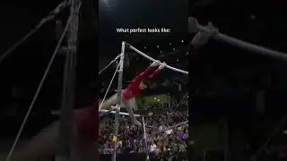 Can you spot the difference🤔 #gymnastics #perfect #stick #unevenbars