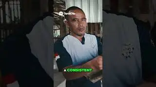 Luxury Snake Skin  Art, Durability, and High End Finish