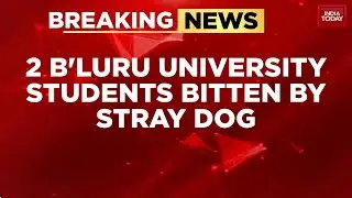 Bengaluru Dog Attack: Students Injured, Stray Menace Sparks Delhi SC Order Debate | India Today