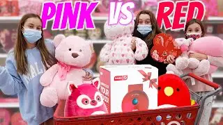 Target PINK VS RED NO BUDGET SHOPPING Spree and Haul!
