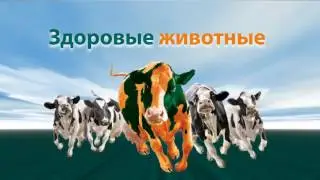 Фильм GEA Farm Technologies RU