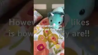 However many likes is how old they are!!