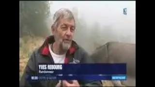 Les Ânes de Blore sur France 3