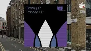 Timmy P - Honk (Original Mix)