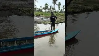 Amazing skill #fishing