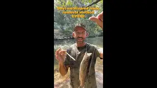 This will BLOW your mind! #1 Easiest swallowed hook removal method EVER!