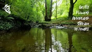 💧 Gently Flowing Woodland Stream (10 Hours) Relaxing Water and Nature Sounds &ndash; Instantly Sleep