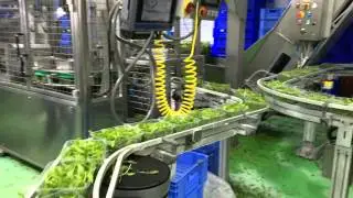 GNA - V80 high speed tray filler machine