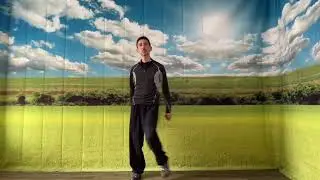 15 Minutes on Chen Tai Chi Silk Reeling