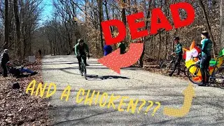 Zwift &ne; IRL Racing - There's A LOT to Learn!