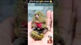 Unseen Animals Amazing Facts #facts4you #amazingfacts #snake #animals #animalfacts #factscloud #