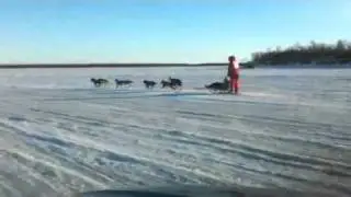 2011 Akiak Dash