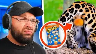 Na Deze Video Is Je Leven Veranderd