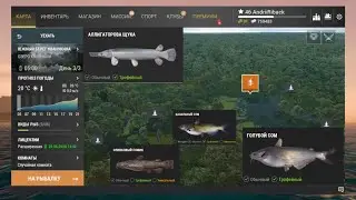 Облов Квачкин (Fishing Planet) (сом, панцерная щюка)