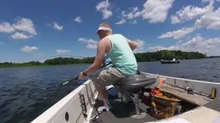 Northern and Puny Bass