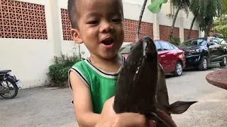 Trải nghiệm bắt cá ở hồ sen của bin