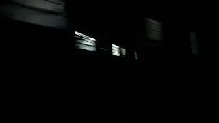 |High Speed Train| In Dangerous Dark Jungle Track