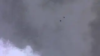 MOV01644