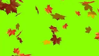 Falling Leaves Green screen effect with out any Text