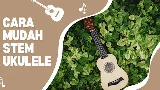 MUDAH BANGET! STEM UKULELE TANPA APLIKASI
