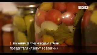 ТСВ выбирает лучший подвал страны