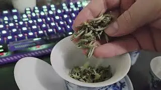Silver Needle White Tea 2025- One River Tea