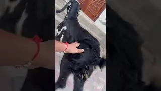 #bakridstatus 😎😎