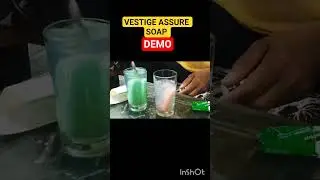 VESTIGE ASSURE SOAP DEMO