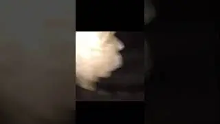1115141519_0803141955607142b
