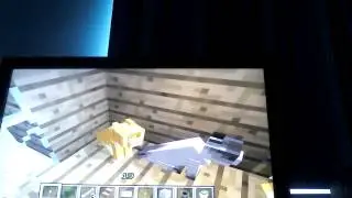Remake of squids sky island challenge ep 1