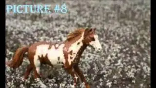 Schleich Horses Realistic Pictures!