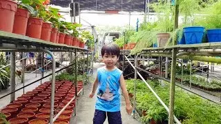 Flower Farm for Toddlers & Kids | Shopping for Plants Family Fun