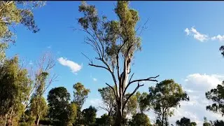 Betts Creek Australia + Kids Playing And Swimming At The Creek