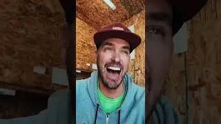 HUMOROUS OBSERVATIONS ABOUT WHITE PEOPLE 😂