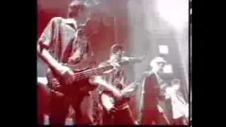 Andre Williams & The Countdowns - live NPA (French TV) 1998 - Car With The Star