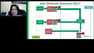 Unravel the exome odyssey overcome the challenges of exon level CNV detection