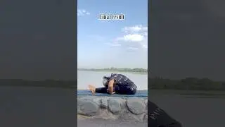Keep trying 🧘&zwj;♂️ || #yogashorts #yogalife #workout #explore #shortvideo