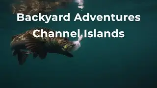 Backyard Adventures // Channel Islands | A BDOutdoors Feature Film