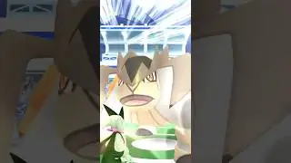 Terrakion the power house raid #3 Shundo Hunt